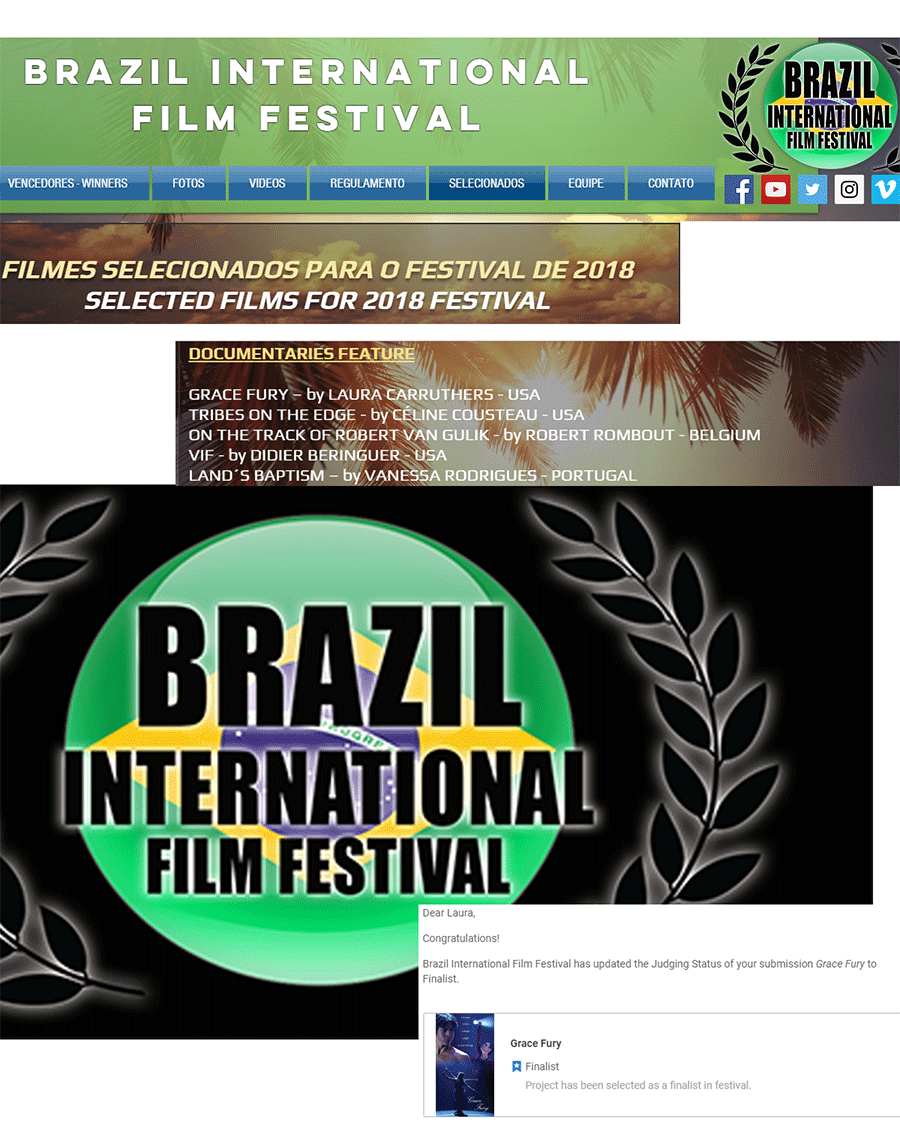 Finalist - Brazil International Film Festival