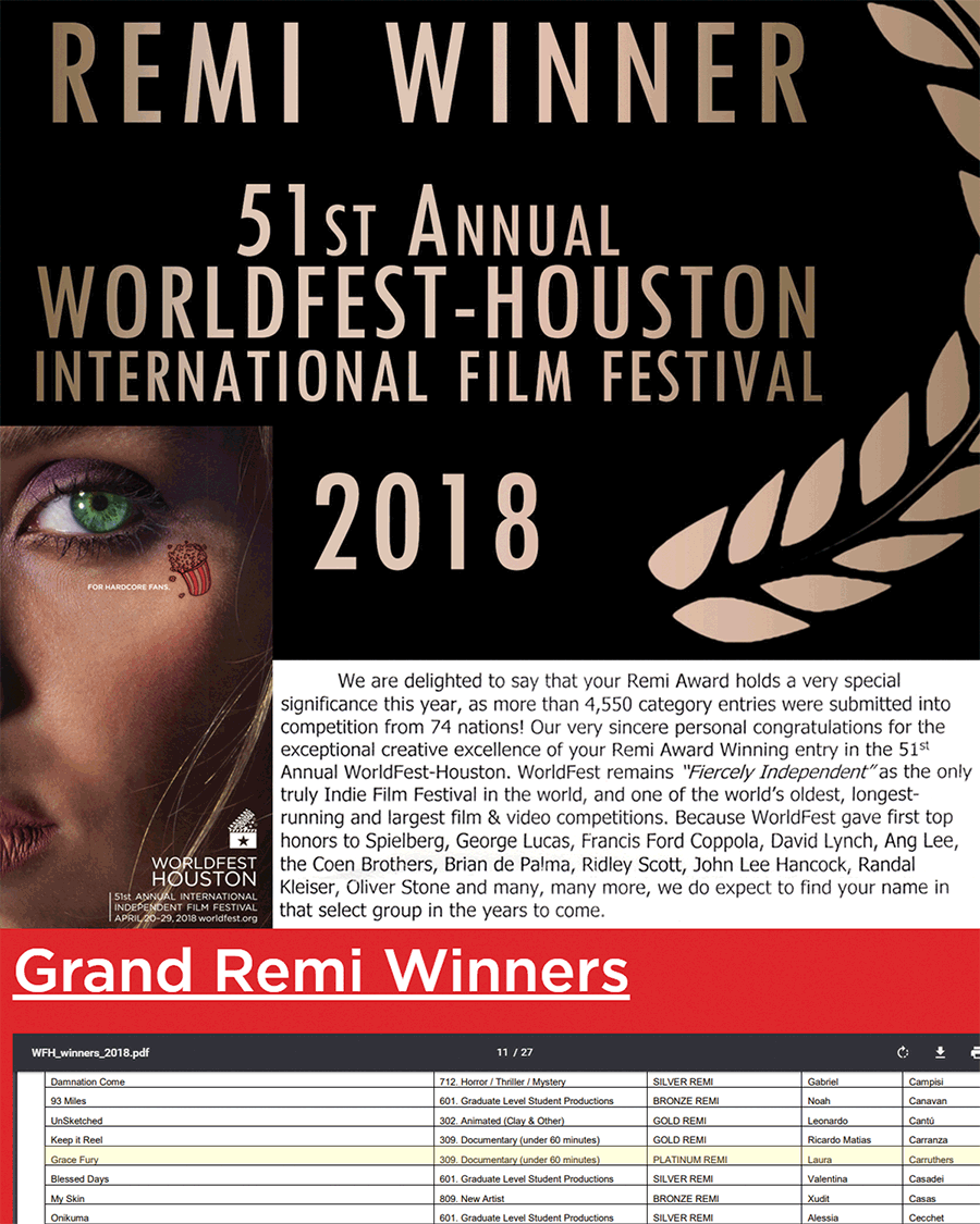 Winner - WorldFest-Houston International Film Festival Collage
