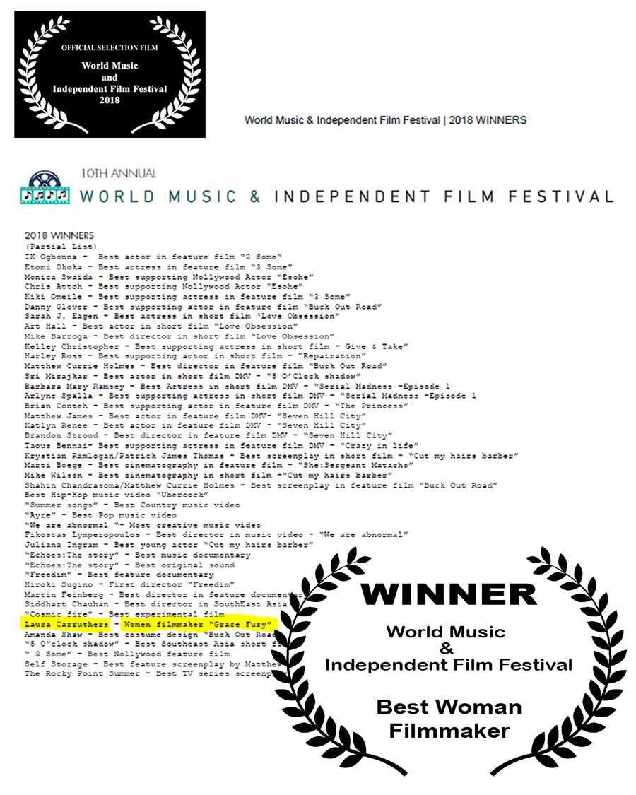 Winner - World Music and Independent Film Festival Collage - D.C.